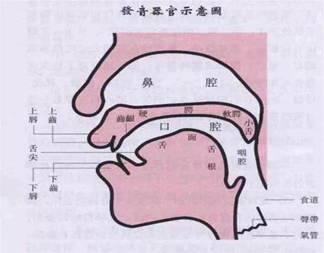 小孩發(fā)音不清楚的原因是什么？